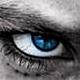   Yohan_SD