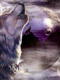  fenix_111