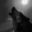   Lonely_wolf1333