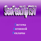   seofestviptsv