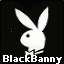   blackbanny