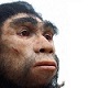   neandertalo